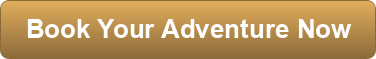 Book your adventure now